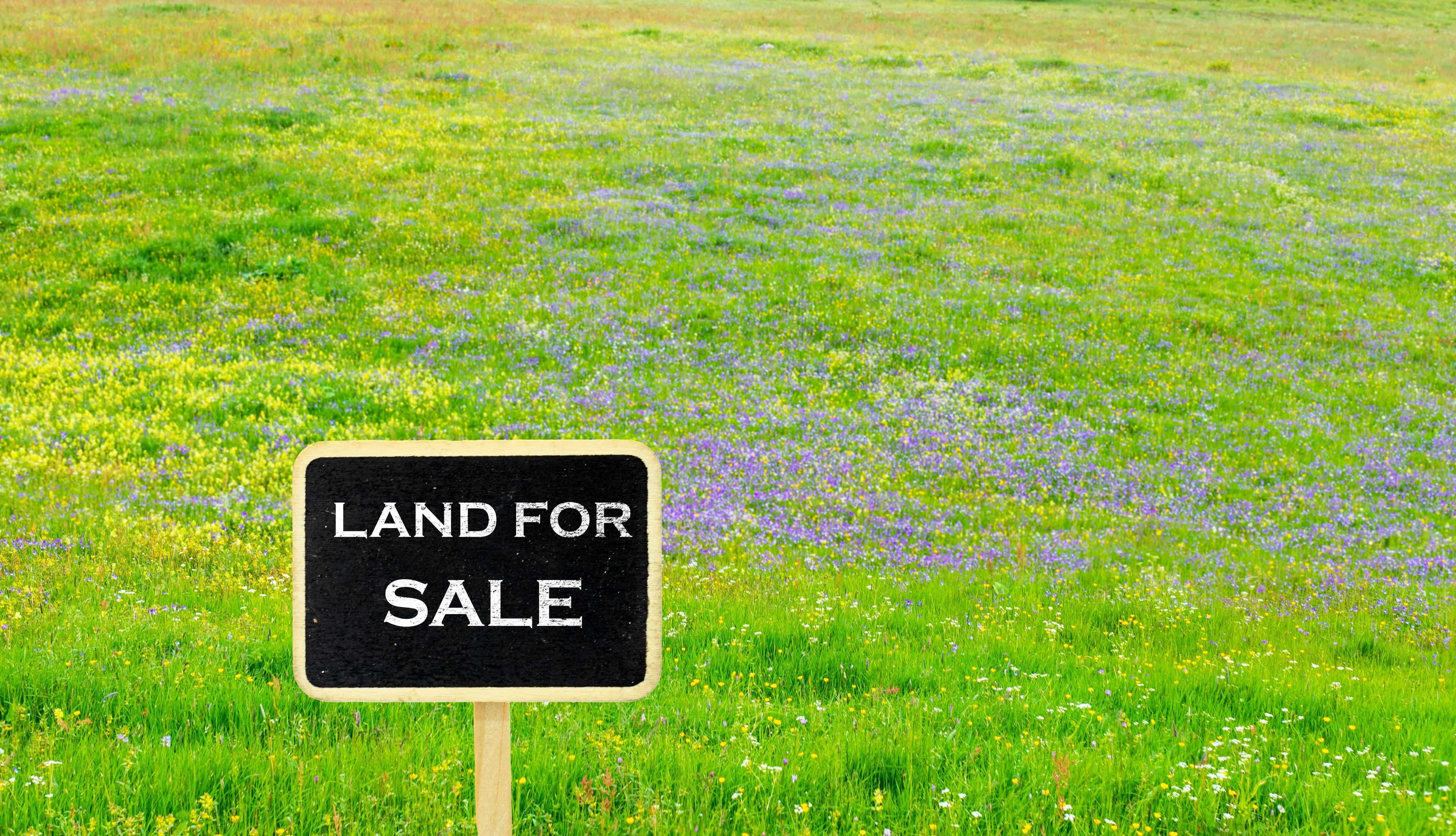 Buy land in bali