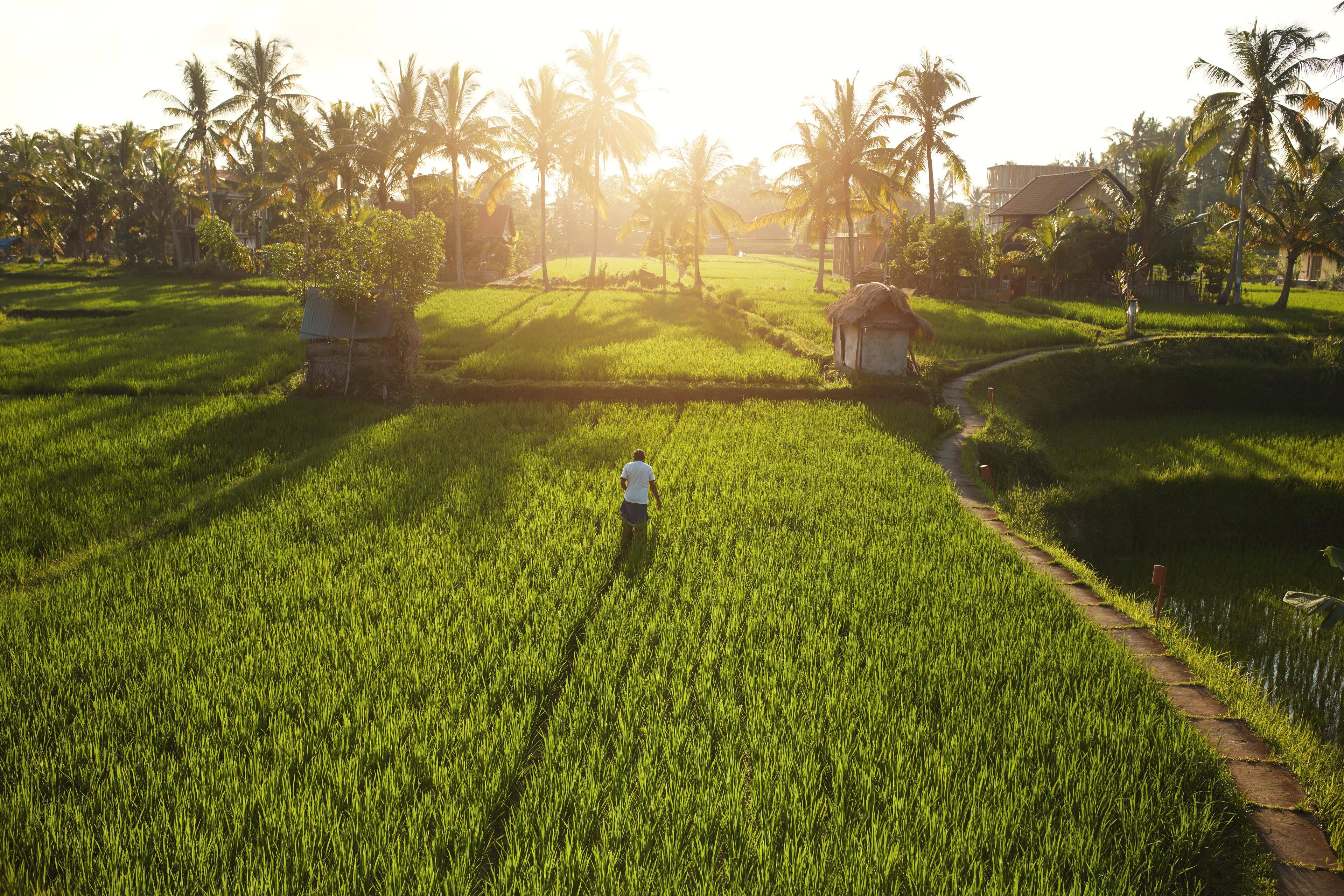 buying land in bali