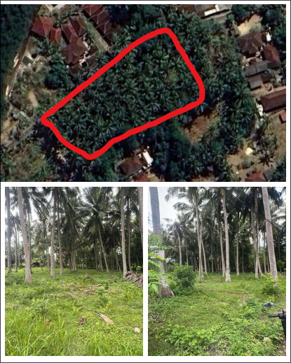 Land B
